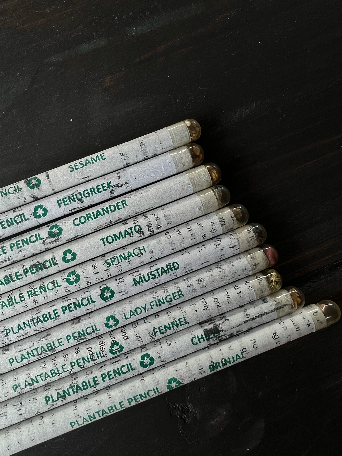 Sketch & Scribble Set